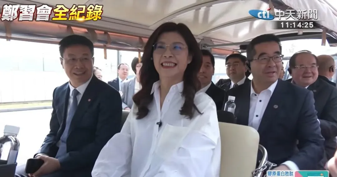 國民黨主席鄭麗文。（圖／中天新聞）