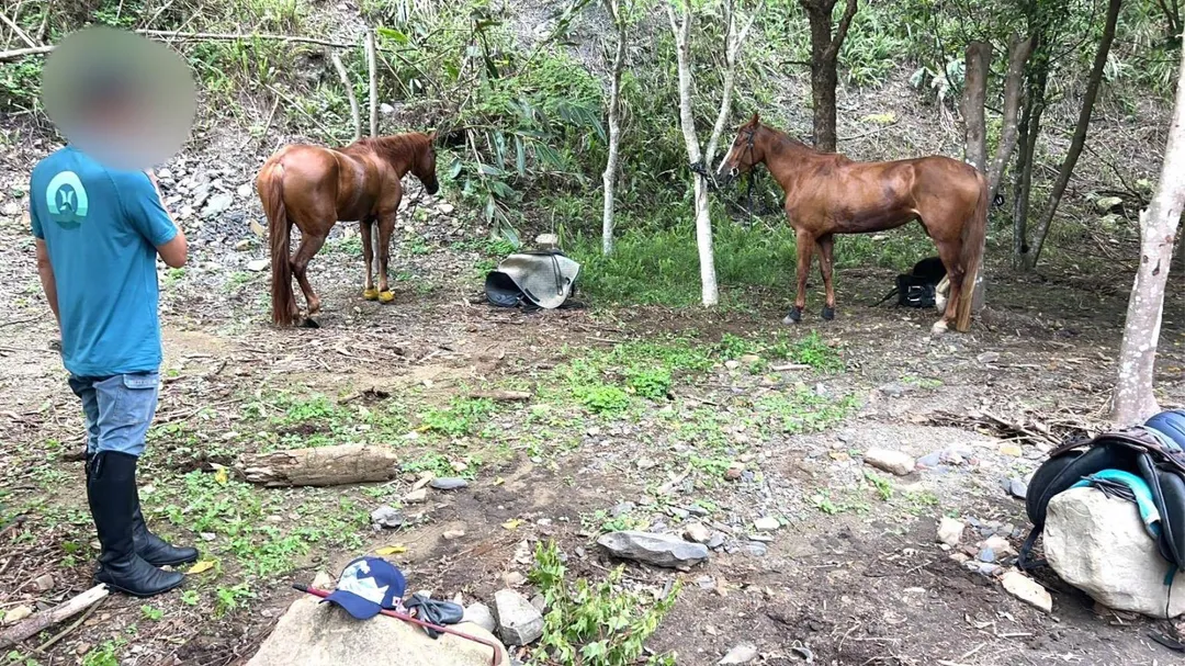 員警發現3人、3馬在樹林休息。（圖／警方提供）