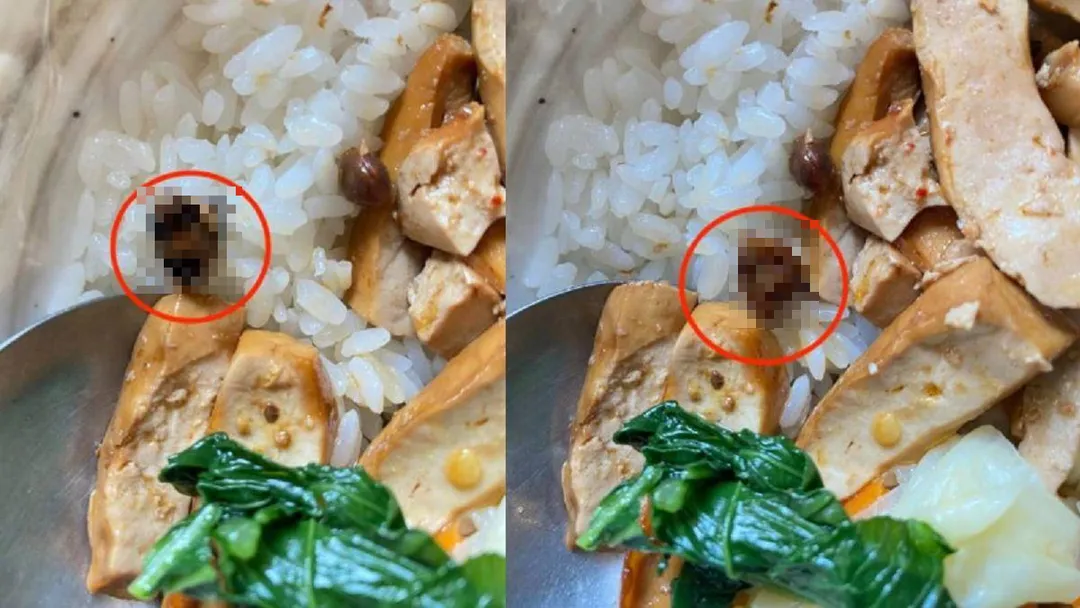 知名連鎖排骨店君悅排骨爆發食品衛生危機。一名顧客日前在社群平台「爆料公社公開版」發文指控,用餐時於碗中發現蟑螂頭,引發大批網友關注。(圖/翻攝臉書爆料公社公開版)
