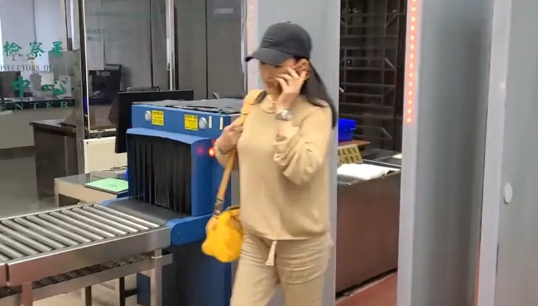 王婉玲穿著簡單，但肩上揹著的LV Speedy女士提花包要價不菲。（圖／中天新聞）