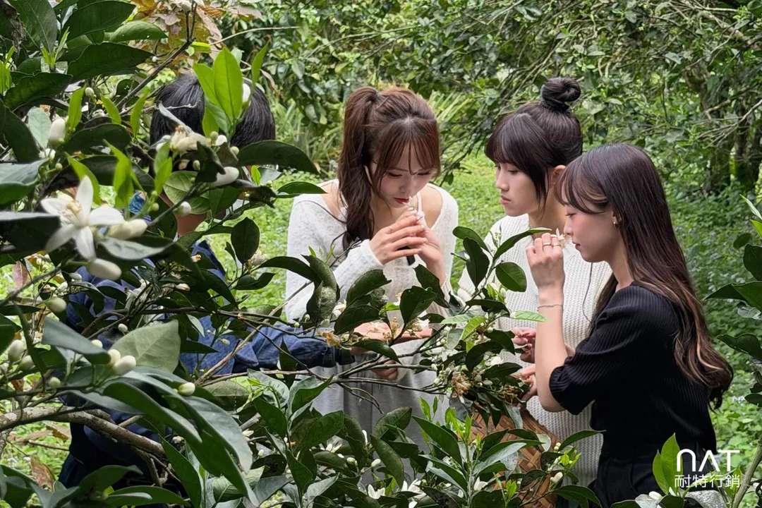 文慧真和隊友們採花增添香氣。（圖／耐特行銷提供）