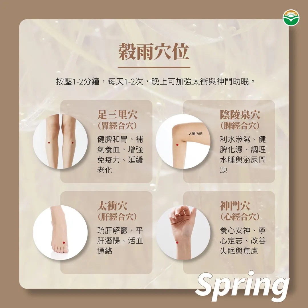 穴位按摩方面,徐維偵建議可按壓足三里穴、陰陵泉穴、太衝穴與神門穴四個穴位。(圖/馬光中醫)