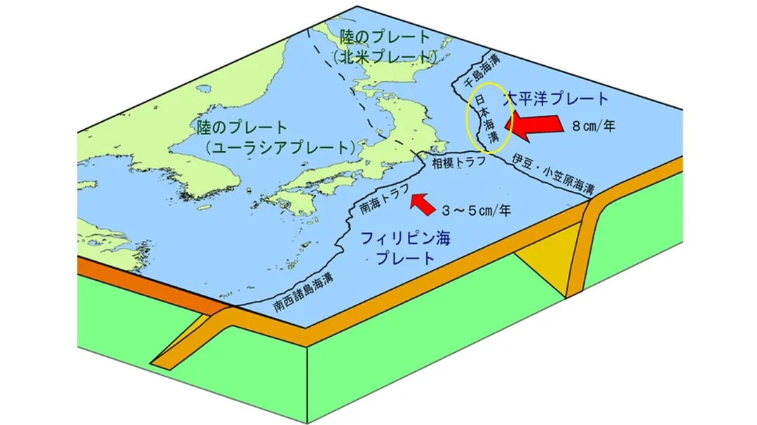 2011年東日本311大地震和這次地震都發生在日本海溝。（圖／郭鎧紋提供）