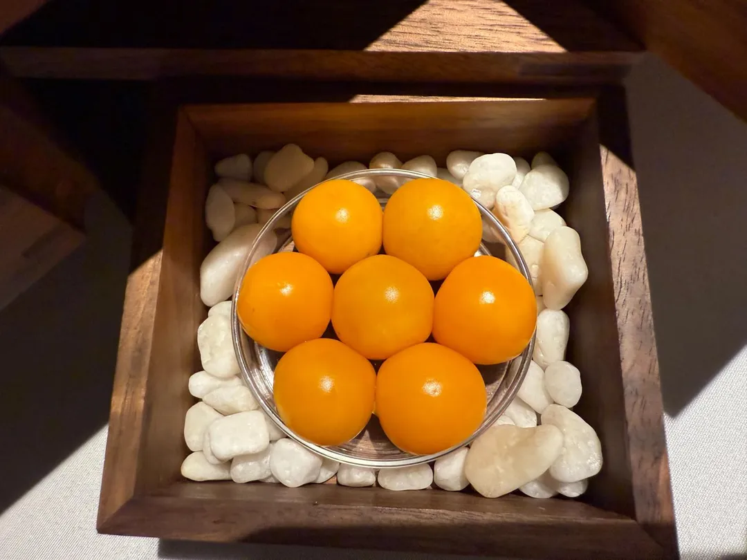 燈籠果。（圖／黃宏輝提供）