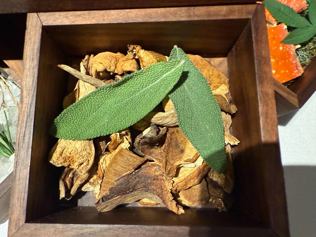 萬壽菊葉。（圖／黃宏輝提供）
