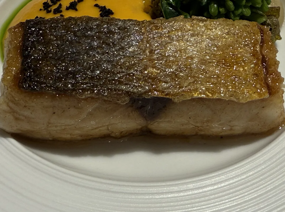 巨大魚塊是竹鯃。（圖／黃宏輝提供）