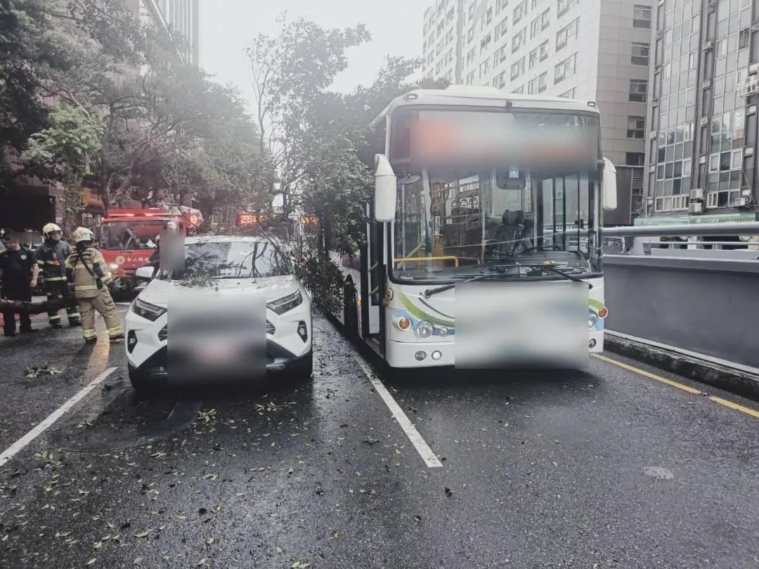 基隆路發生路樹倒塌砸中公車、汽車，竟是大貨車撞倒路樹肇事。（圖／警方提供）
