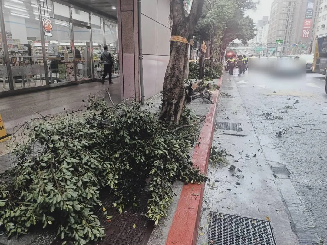 路樹倒塌地上一片凌亂。（圖／警方提供）