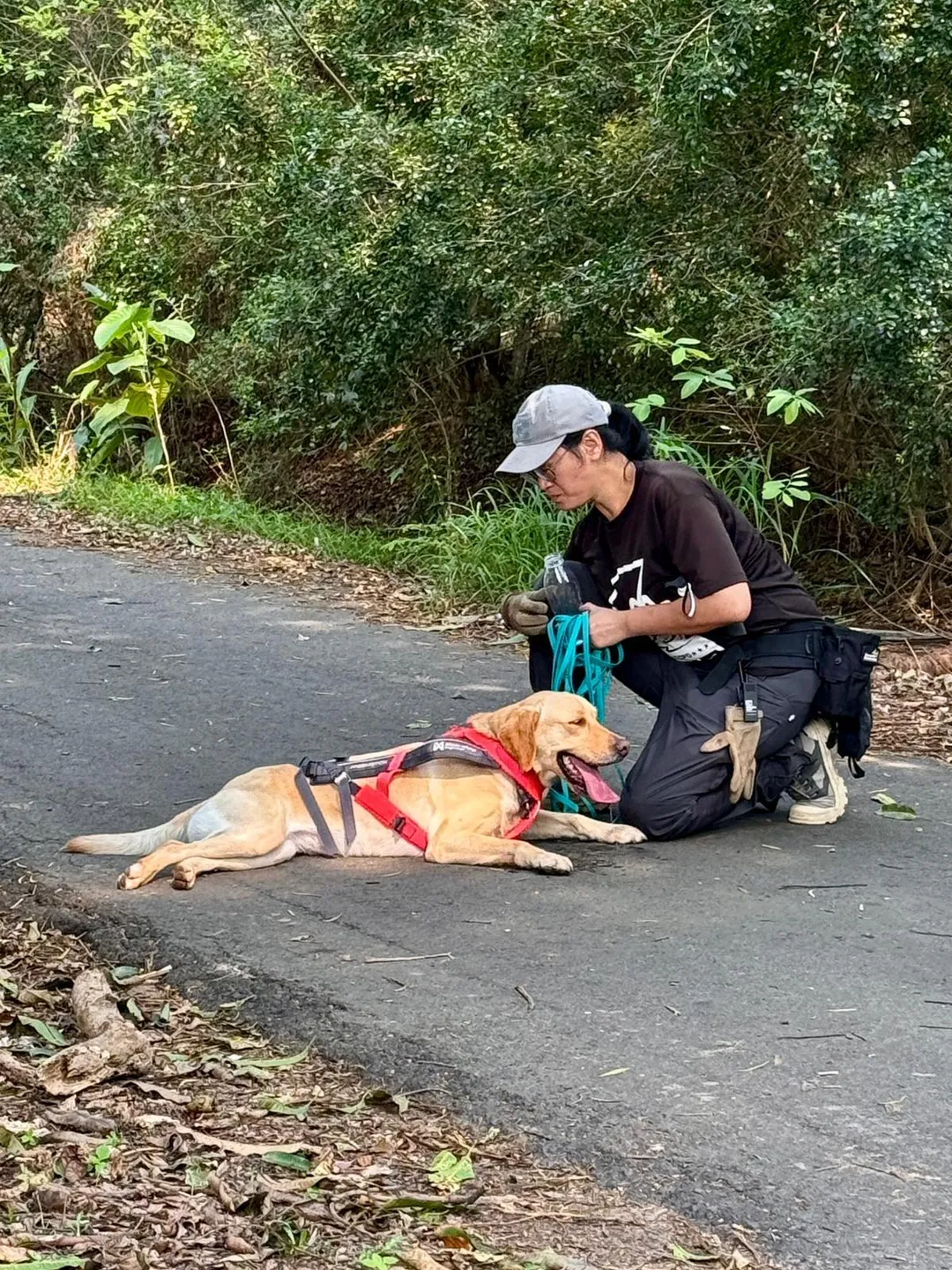 警犬Uhoo與領犬員蕭至汎仍憑藉絕佳的默契，重建出唯一正確的行進路徑。（圖／警方提供）