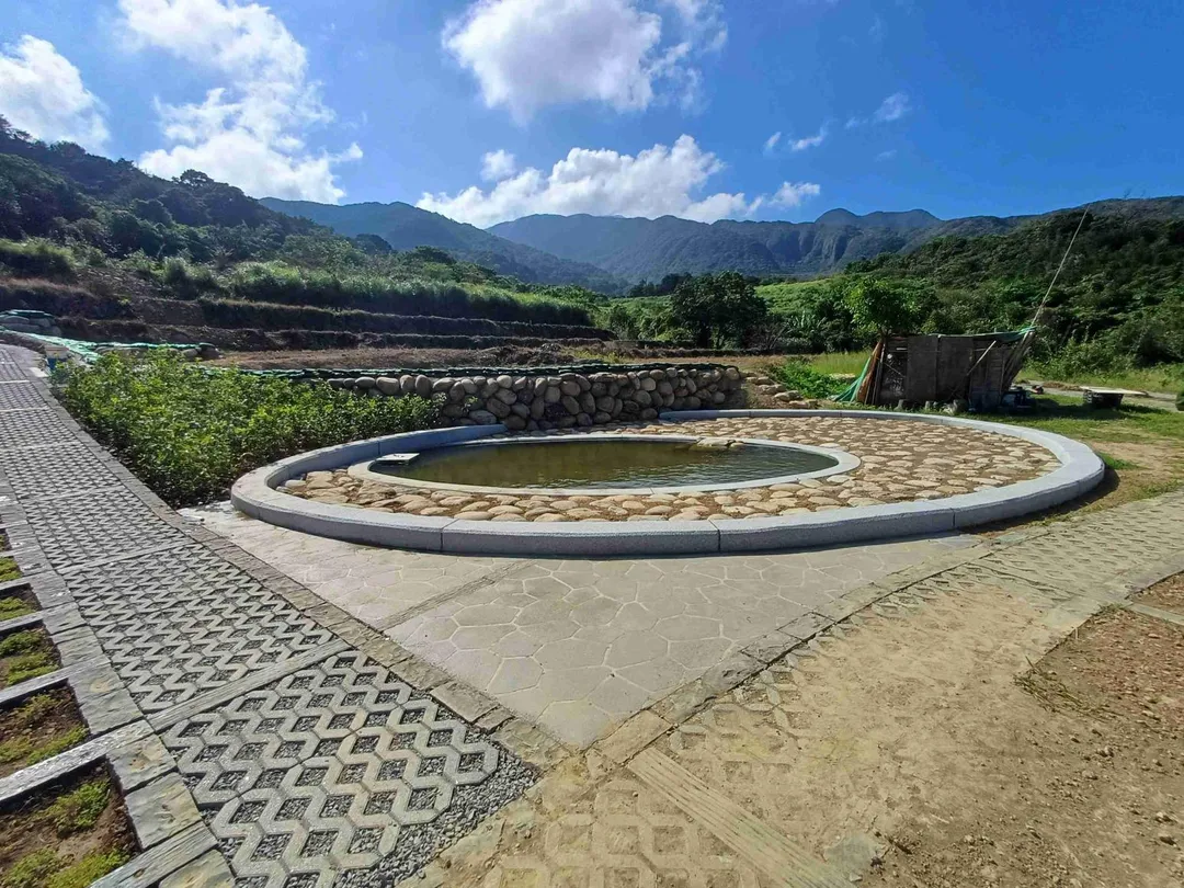 營造多元棲地環境，建置養鴨池。（圖／新北市政府農業局提供）