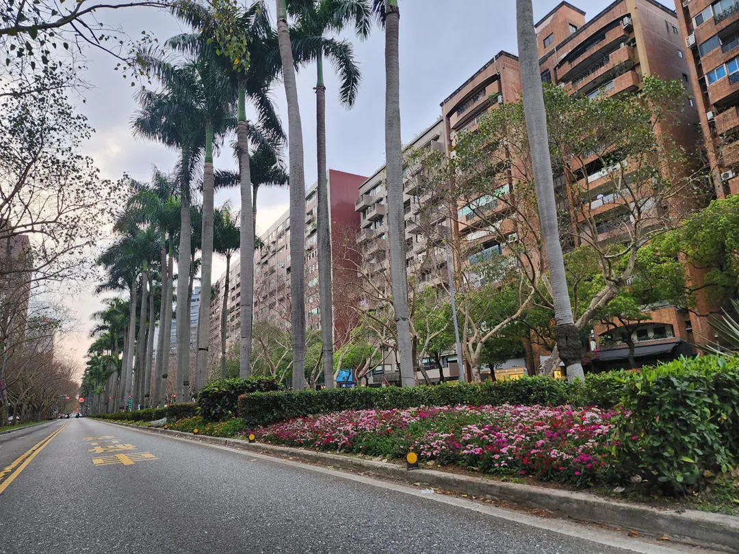 仁愛路換新裝上演一場春日視覺宴饗。（圖／台北市公園處提供）