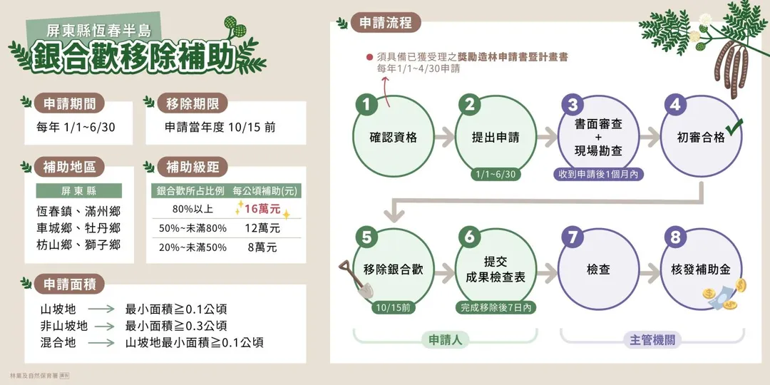 恆春半島銀合歡移除補助申請流程。（圖／林保署提供）