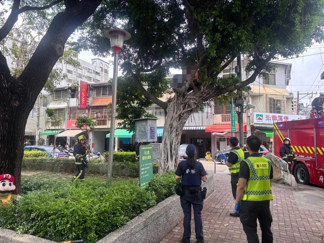 台中2名男子爬上樹喝酒,酒瓶見底之時卻驚覺下不來,急忙撥打119求救。(圖/台中市消防局提供)
