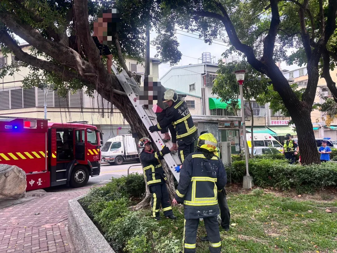 消防人員到場後,立刻架設雙節梯,耐心引導兩人順著梯子慢慢爬下來。整個搶救過程僅耗時14分鐘,2人最終平安脫困,狀況良好,無須送醫。(圖/台中市消防局提供)