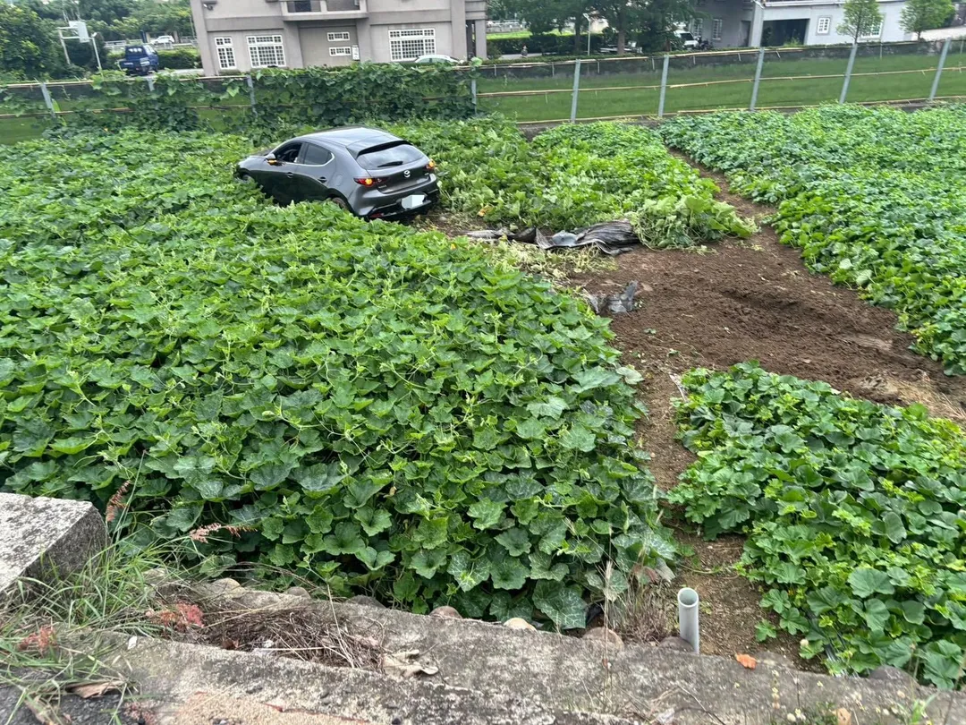 駕駛涉酒駕送辦。（圖／警方提供）