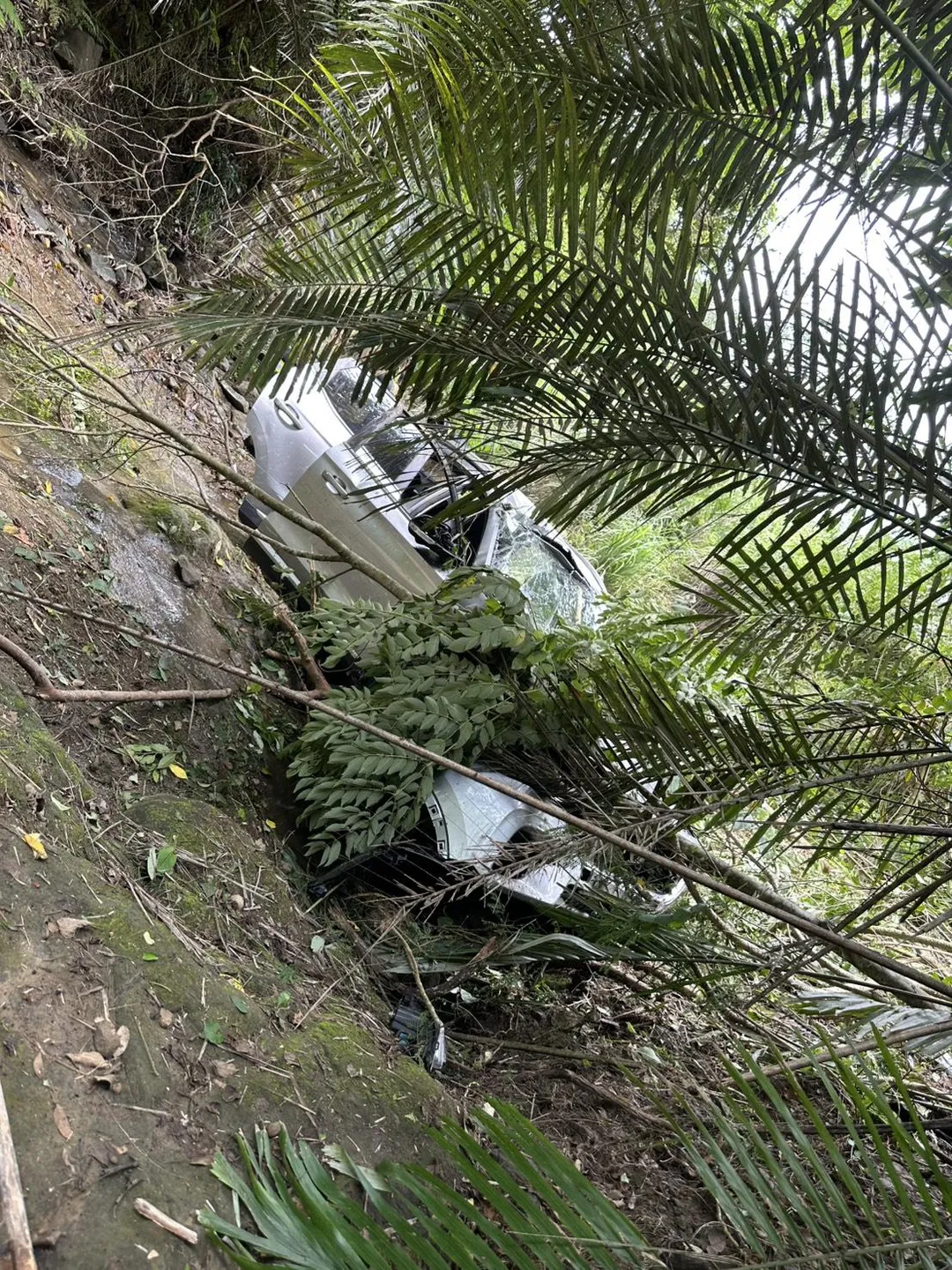 消防局獲報後出動器材車與大批人員趕赴現場,將受困溪谷的傷者逐一吊掛救出。(圖/中天新聞)