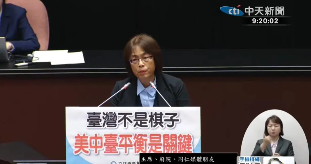 國民黨立委林倩綺。(中天新聞)