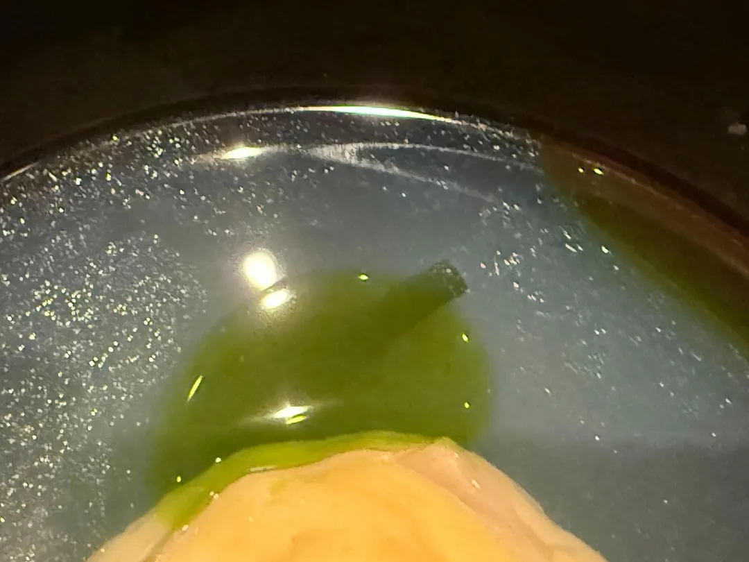 澄清湯裡有九層塔香料油。（圖／黃宏輝提供）