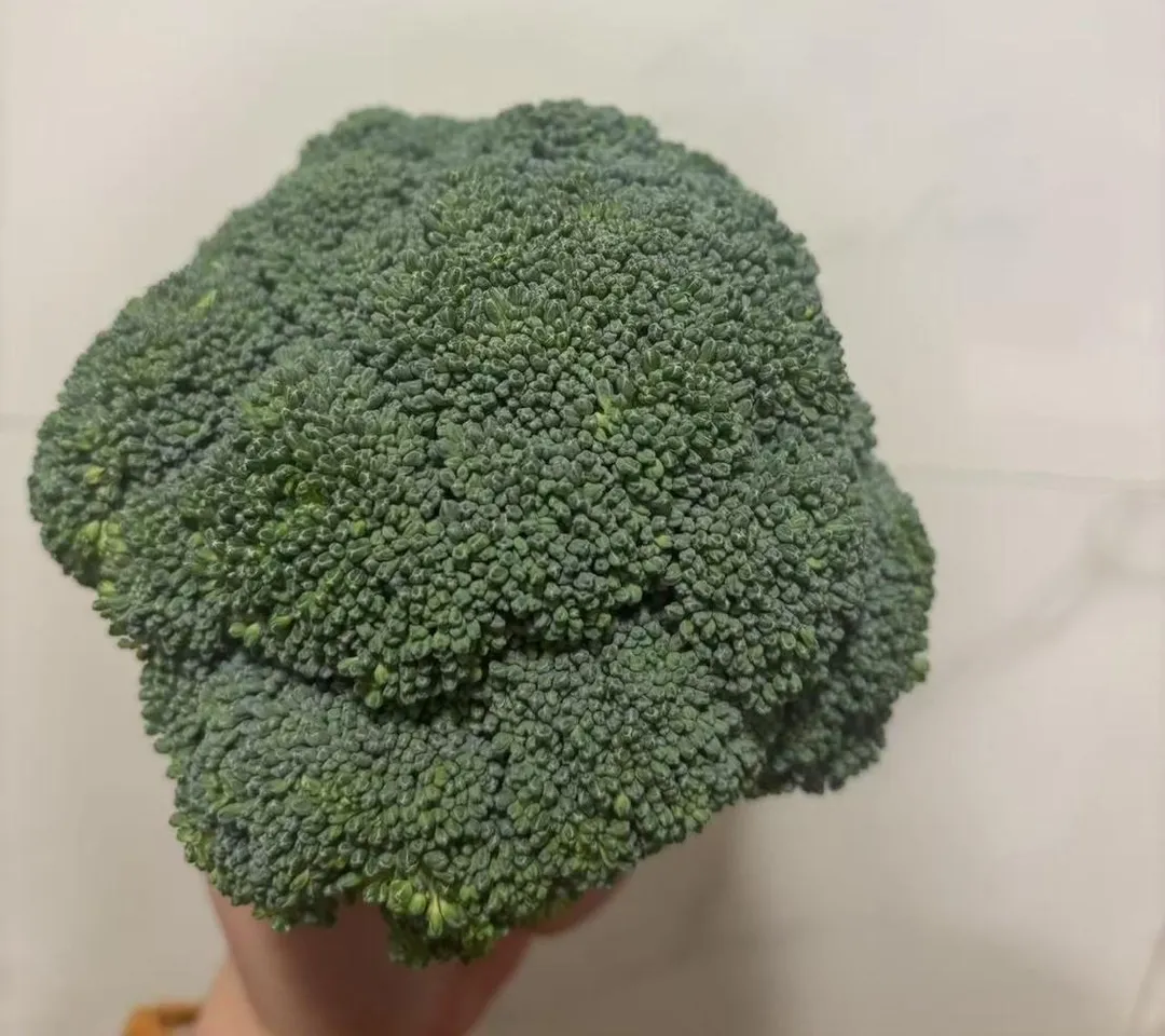 花椰菜、高麗菜、青花菜、白菜等，含有植化素與含硫化合物，與抗發炎及細胞保護功能相關。（圖／吳紹尹攝）