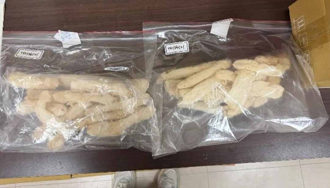 桃園彭園會館販售的「竹笙」遭驗出重金屬鎘超標。(圖/食藥署提供)