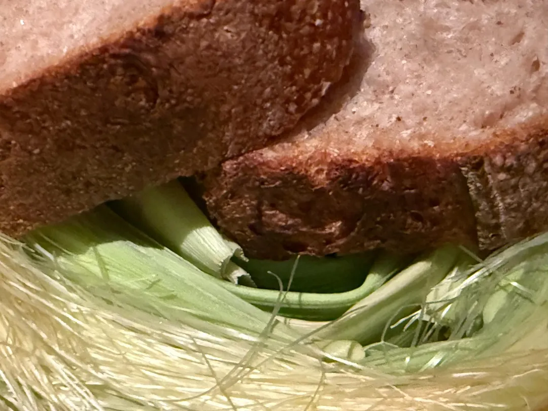 酸種麵包。（圖／黃宏輝提供）