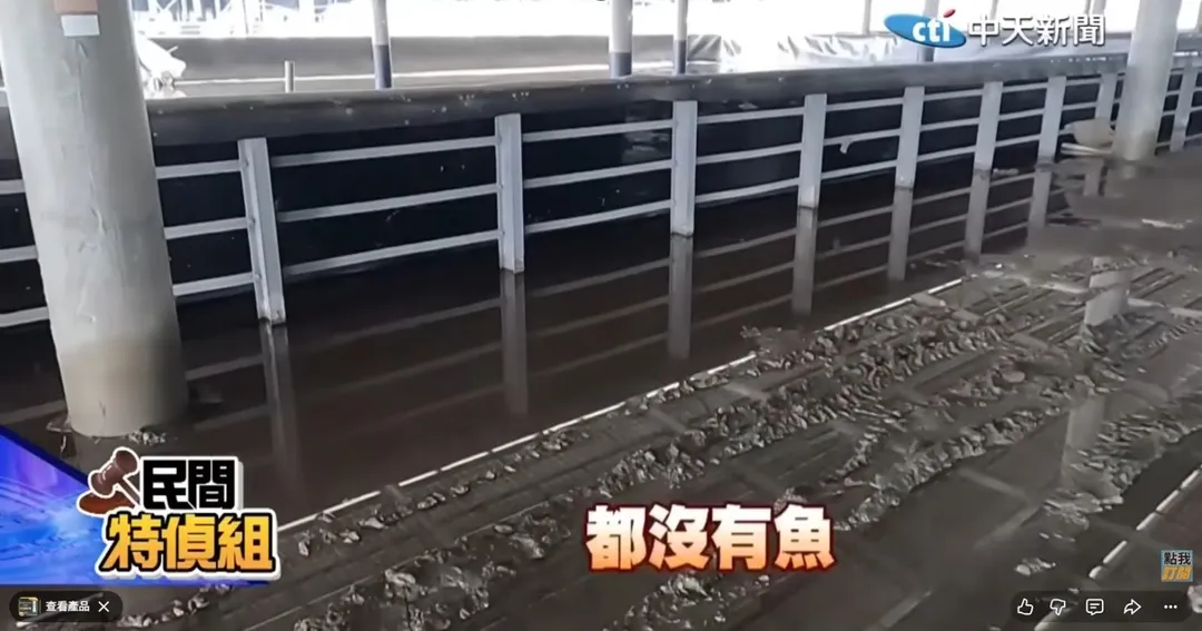 300甲廠區淪為廢墟。魚池裡連甲魚都沒有。（圖／中天新聞）