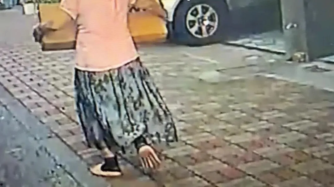 拿槍給清潔隊員回收的婦人。(圖/民眾提供)