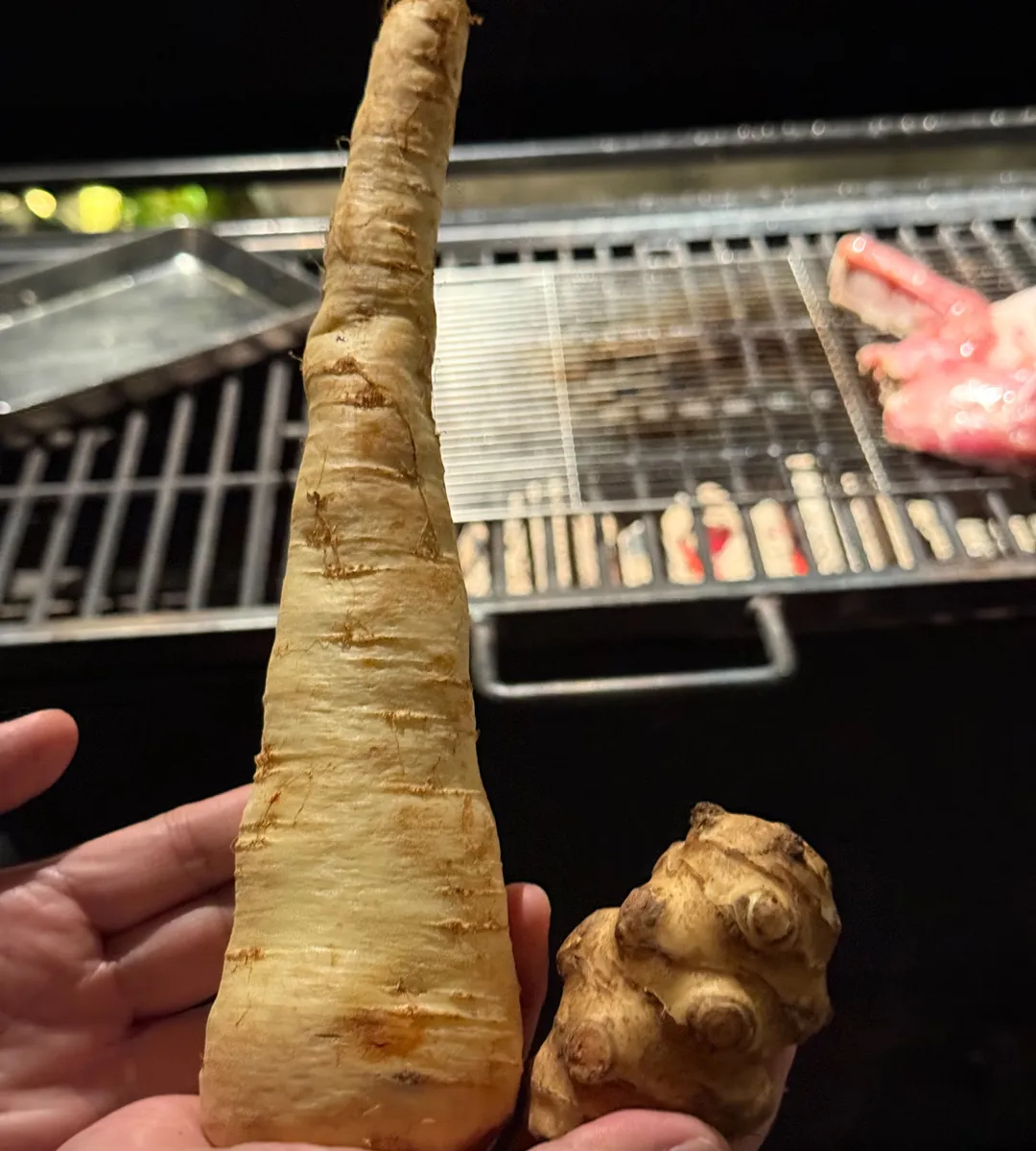 歐防風和菊芋。（圖／黃宏輝提供）