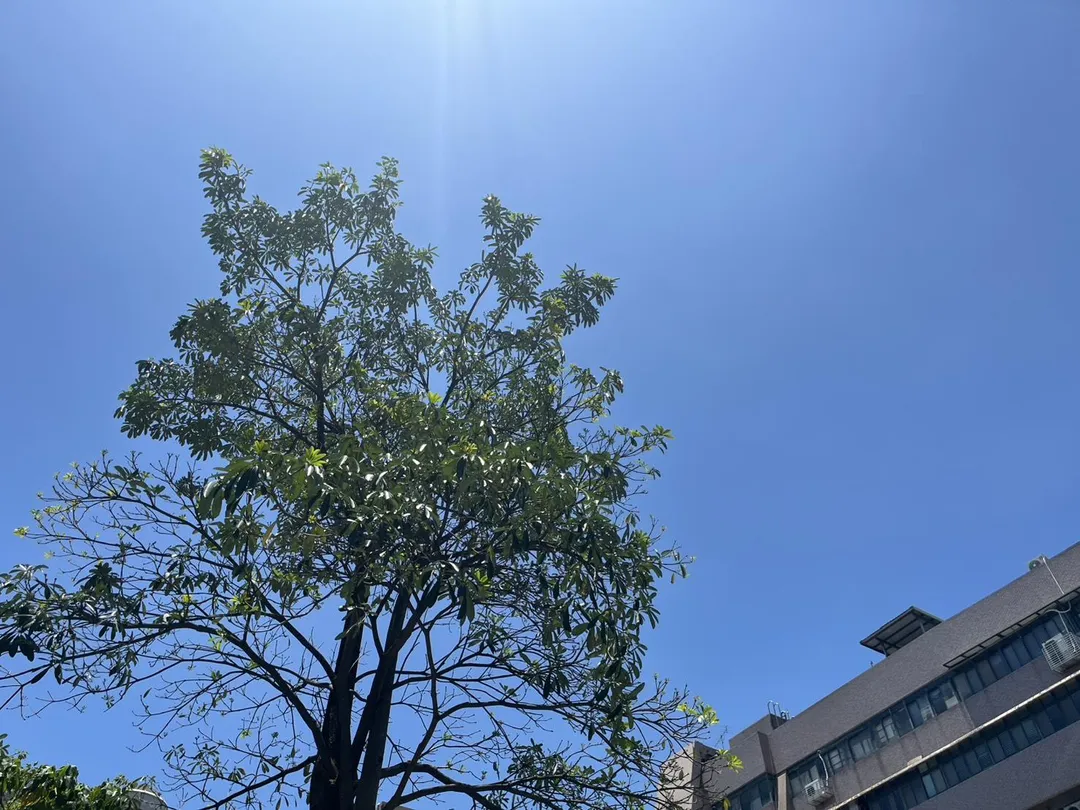 黃軒也提醒,夏季遇到悶熱天氣時,不要只看天空有沒有太陽,氣溫、濕度及體感溫度同樣重要。(圖/中天新聞)