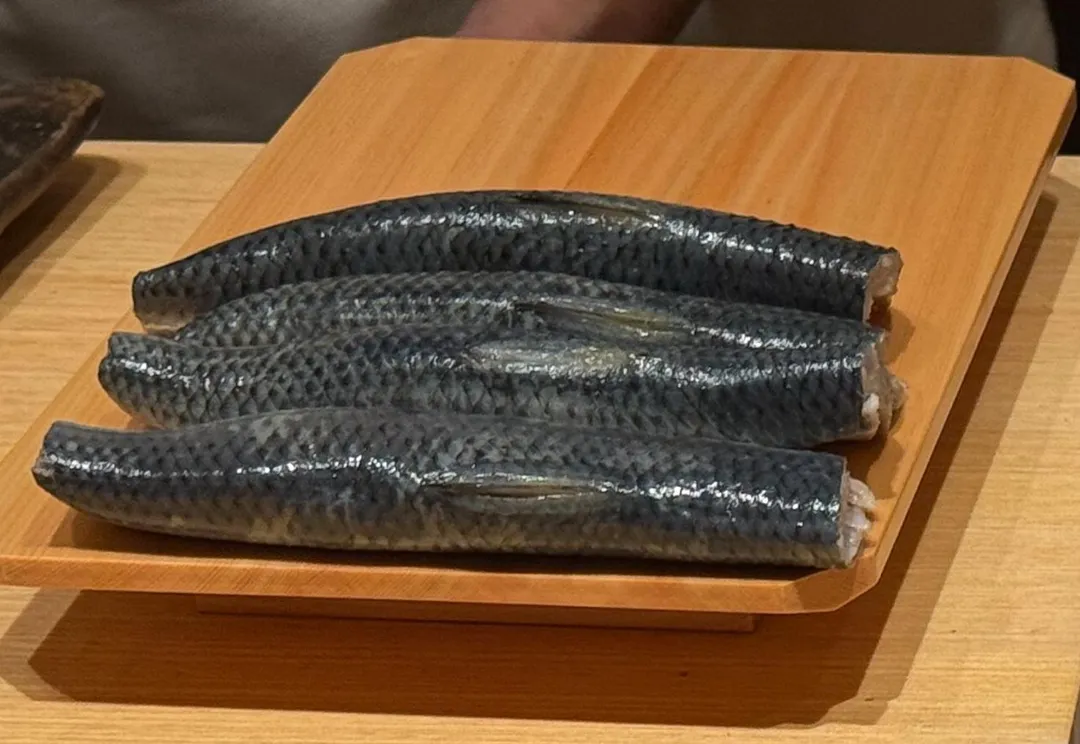 肥碩沙丁魚。（圖／黃宏輝提供）