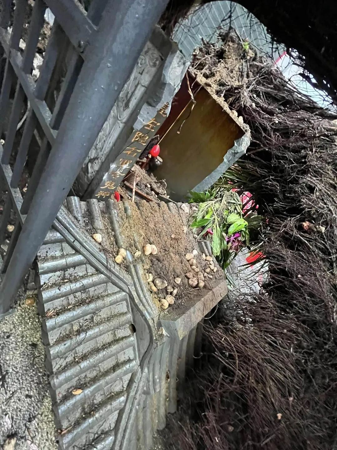 倒樹波及一旁的「五營」小廟，沒有傷及其他人車。（圖／翻攝自Facebook@全臺首邑縣城隍廟）