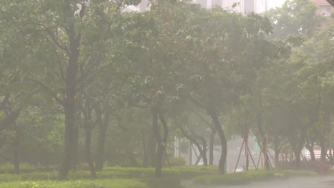 受梅雨鋒面及西南氣流影響，高雄市區降下狂風驟雨，市府已將水災應變中心提升為二級開設，嚴防積淹水災情。（圖／中天新聞）