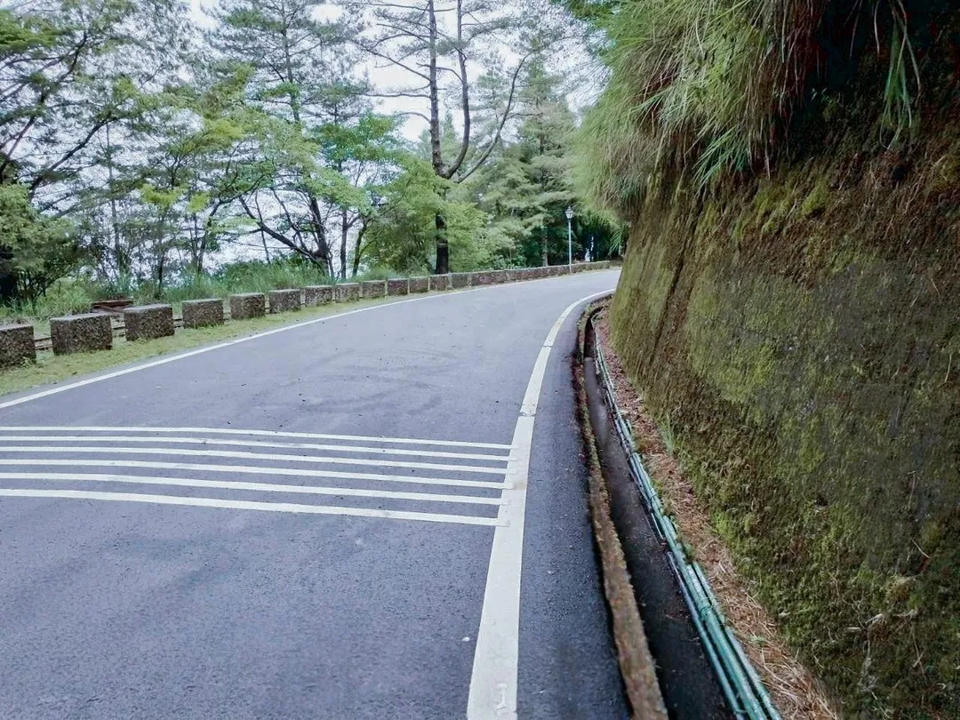 嘉義分署特別提醒，遊客來訪前應密切留意氣象預報資訊，雨季期間若遇下雨，進入林道務必注意足下安全。（圖／農業部林業及自然保育署提供）