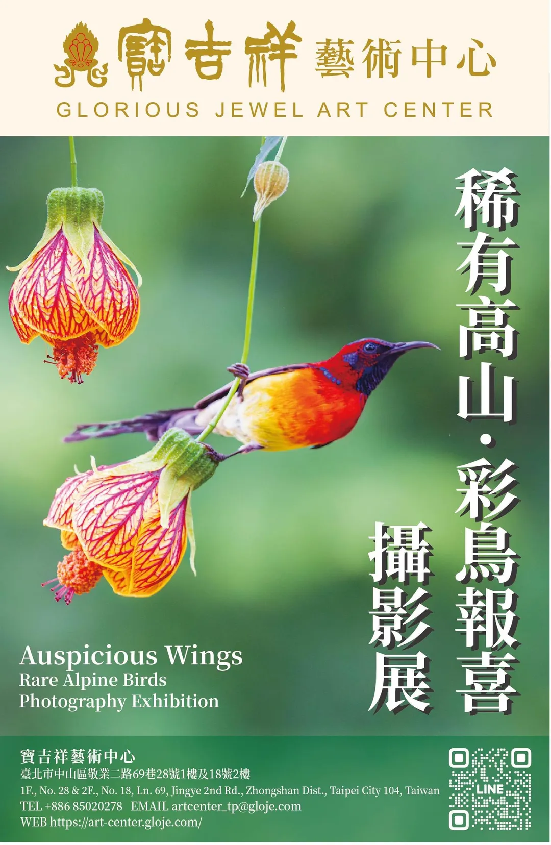 寶吉祥藝術中心推出《稀有高山・彩鳥報喜》王紹麟攝影展（圖／寶吉祥藝術中心）