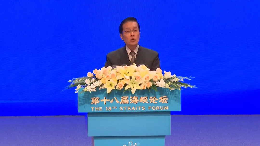 國民黨副主席張榮恭論壇上致詞。(圖/央視)