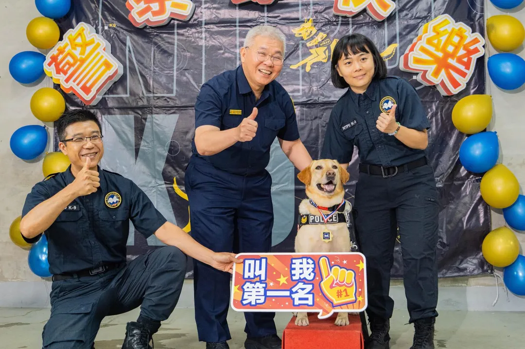 新北警察局局長方仰寧頒贈榮譽勳章予警犬KENJI，表揚於緝毒工作中的卓越貢獻。（圖／市警局提供）
