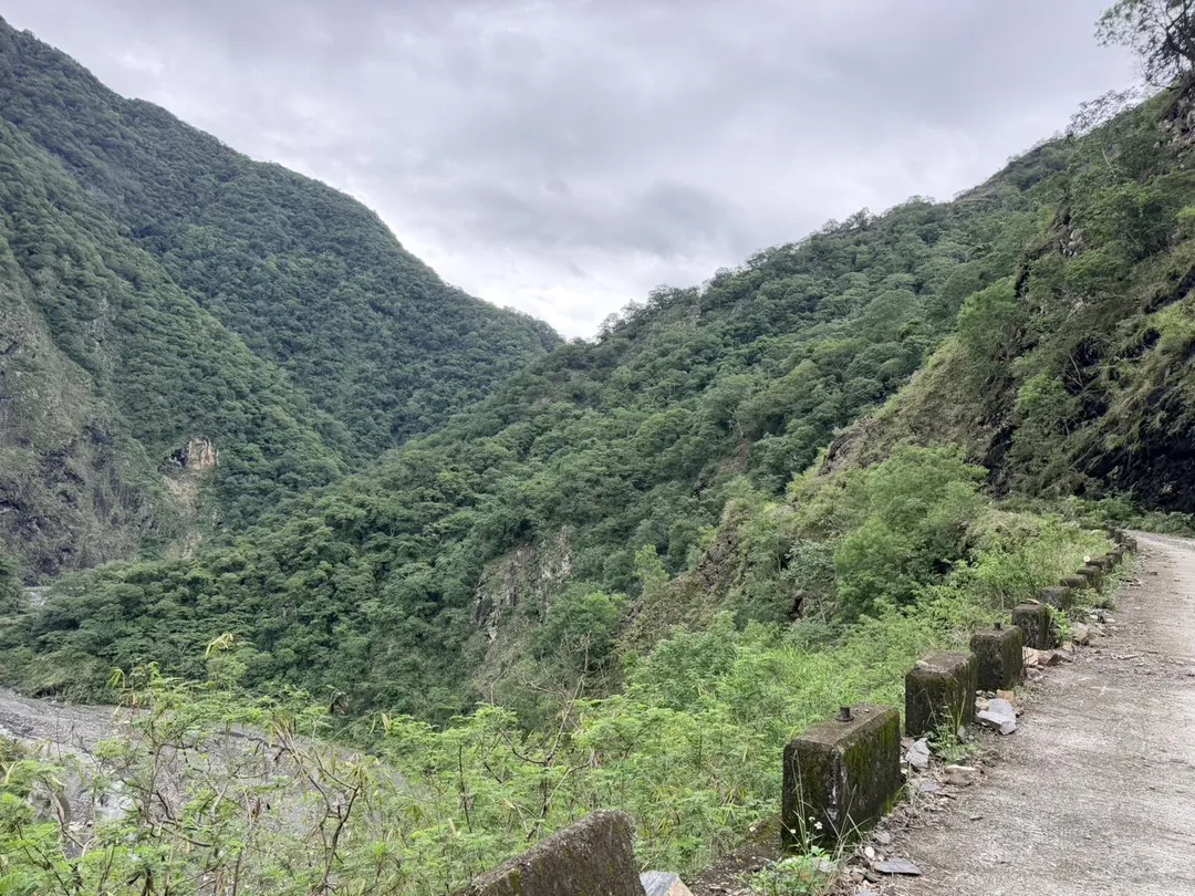林道陸續完成整治。（圖／林保署南投分署提供）