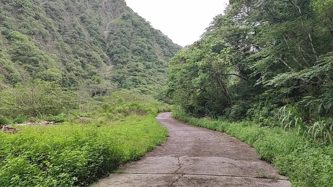 郡大林道非施工路段的路況。（圖／林保署南投分署提供）
