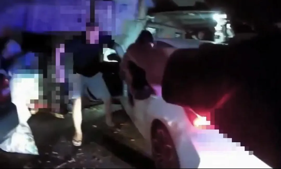 員警拔槍喝斥壓制逮捕嫌犯。(圖/翻攝畫面)