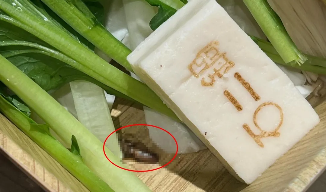 一名網友於29日在社群平台 Threads 上貼文爆料,前往石二鍋台中美村南店用餐時,驚見送上桌的菜盤裡竟然有一隻活生生的昆蟲在爬動。(圖/litebar423授權提供)