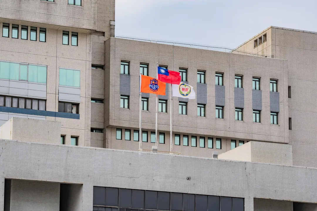 (圖/桃園市政府提供，下同)