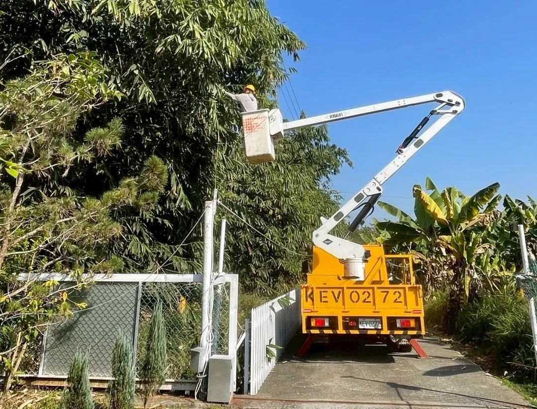 台電6日啟動防颱整備作業，全面加強鄰近供電線路樹竹修剪。（圖／台電提供）