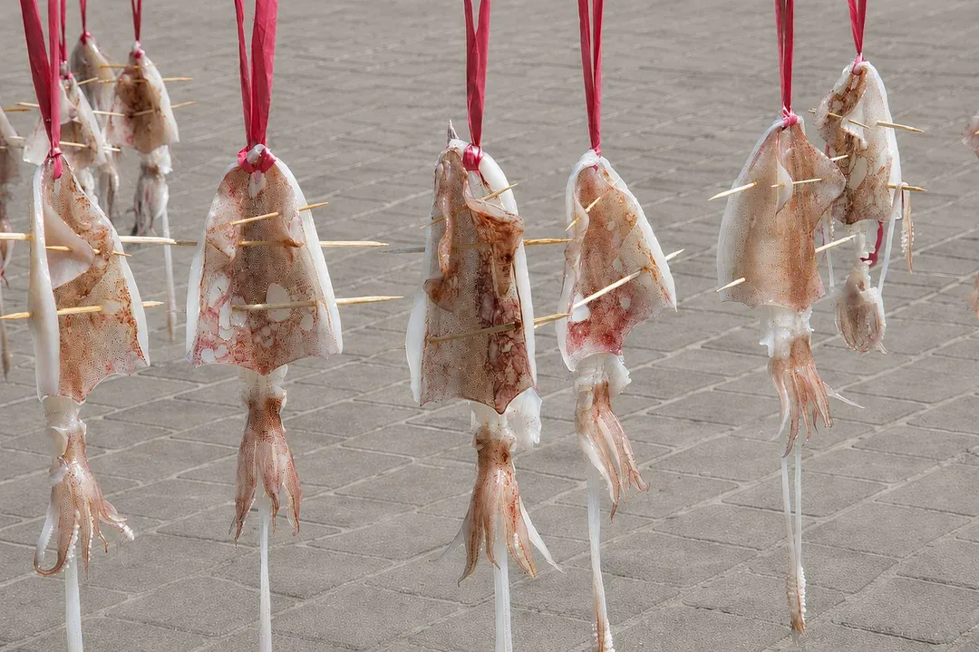 小卷一夜干體驗活動,推廣食魚教育與在地漁產特色。(新北市漁業處提供)