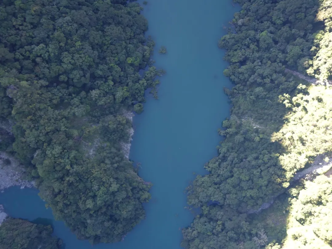 空拍巡查顯示,萬里溪堰塞湖水位穩定上升,壩體與整體地形無明顯變化。(圖/林業及自然保育署花蓮分署提供)