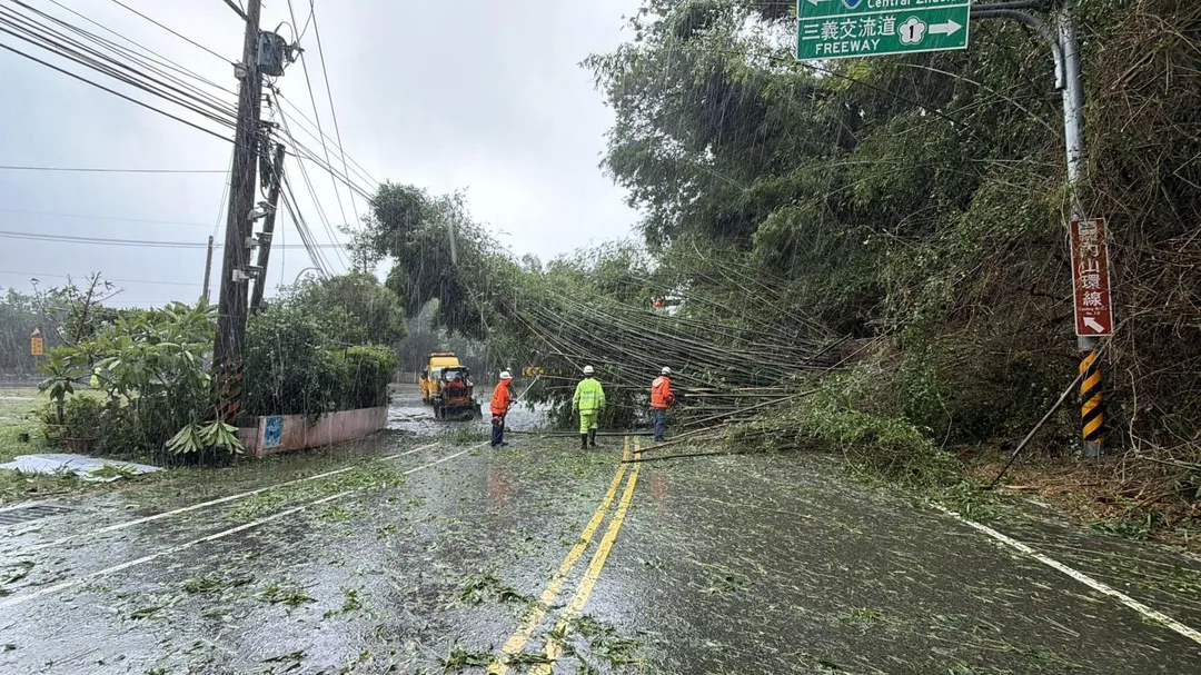 台3線、苗52線路口，早上9點多路樹傾斜，造成交通中斷。（圖／中天新聞）