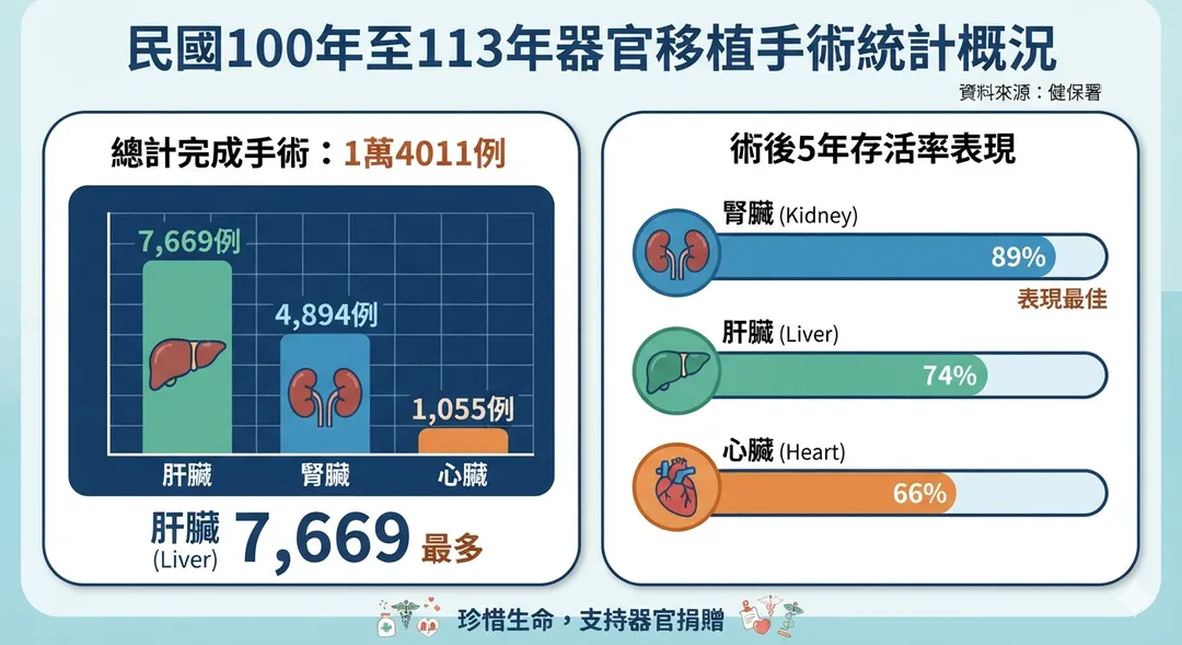 衛生福利部中央健康保險署公布民國100至113年器官移植統計，全台完成1萬4011例。肝臟移植數最多，腎臟5年存活率89%最高。(示意圖/AI生成)