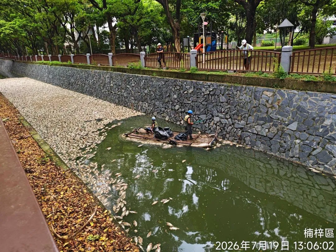 後勁溪出現大量死魚,高雄市環保局前往現場調查並清理。(圖/翻攝高雄市環保局臉書)