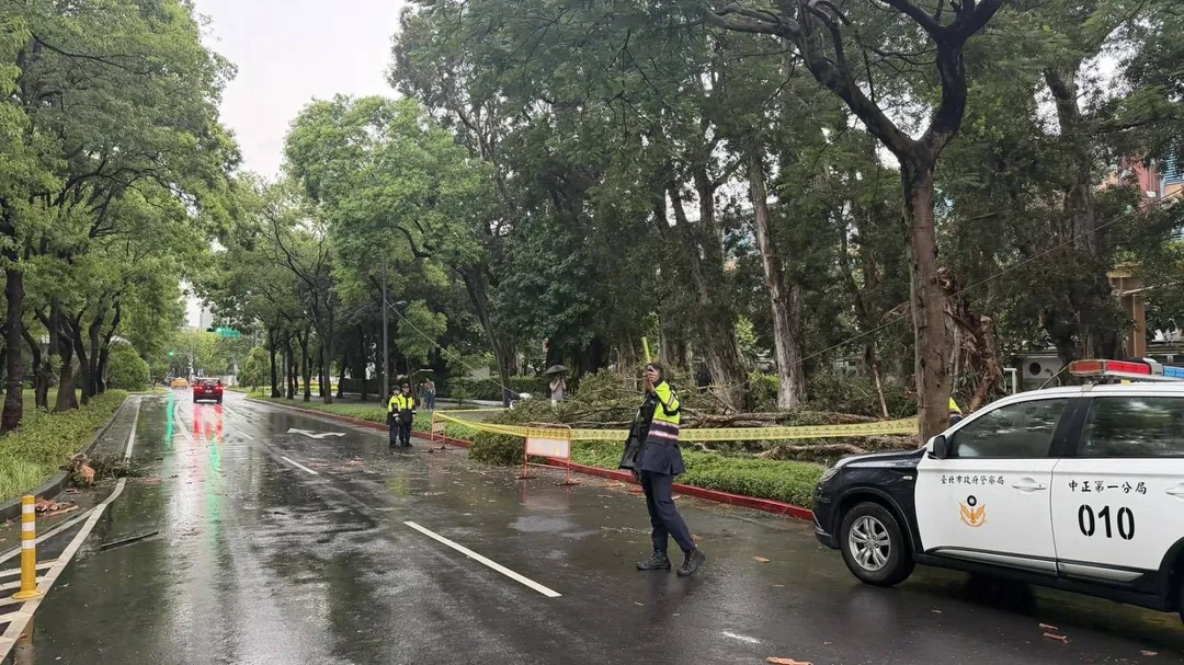 中正區愛國西路與中山南路口發生路樹遭雷擊倒塌情形。(圖/警方提供,下同)