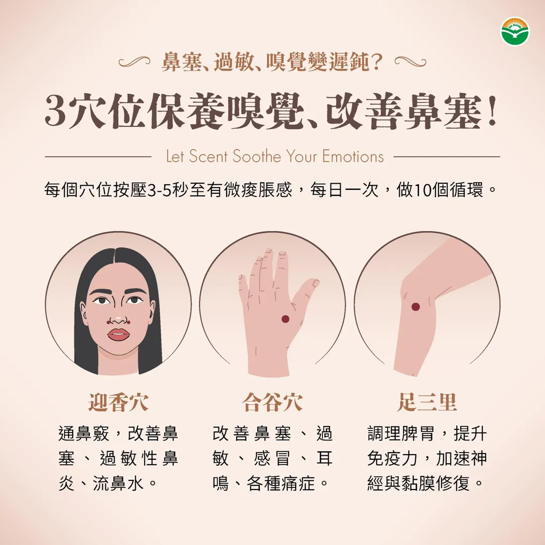 日常保養嗅覺,葉正強醫師建議從穴道按摩與飲食雙管齊下。(圖/馬光中醫)