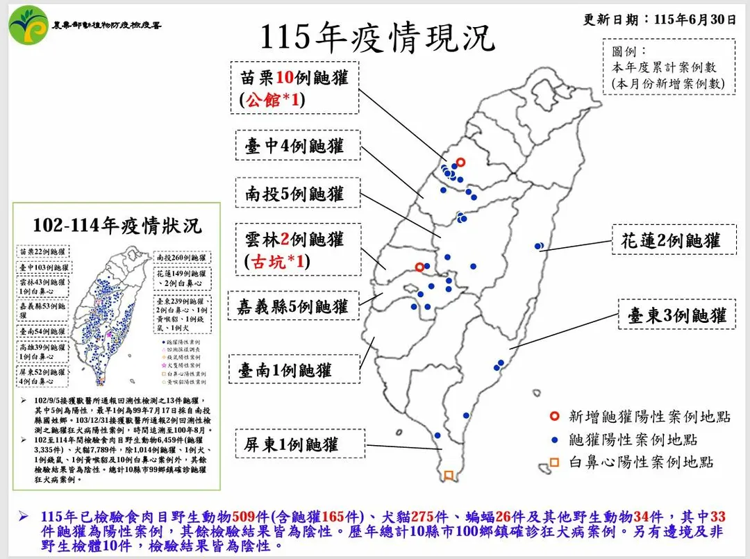 115年狂犬病已發現33件鼬獾陽性案例，其餘檢驗結果皆為陰性(防檢署公開資料，統計至6月30日)。（圖／新北動保處）